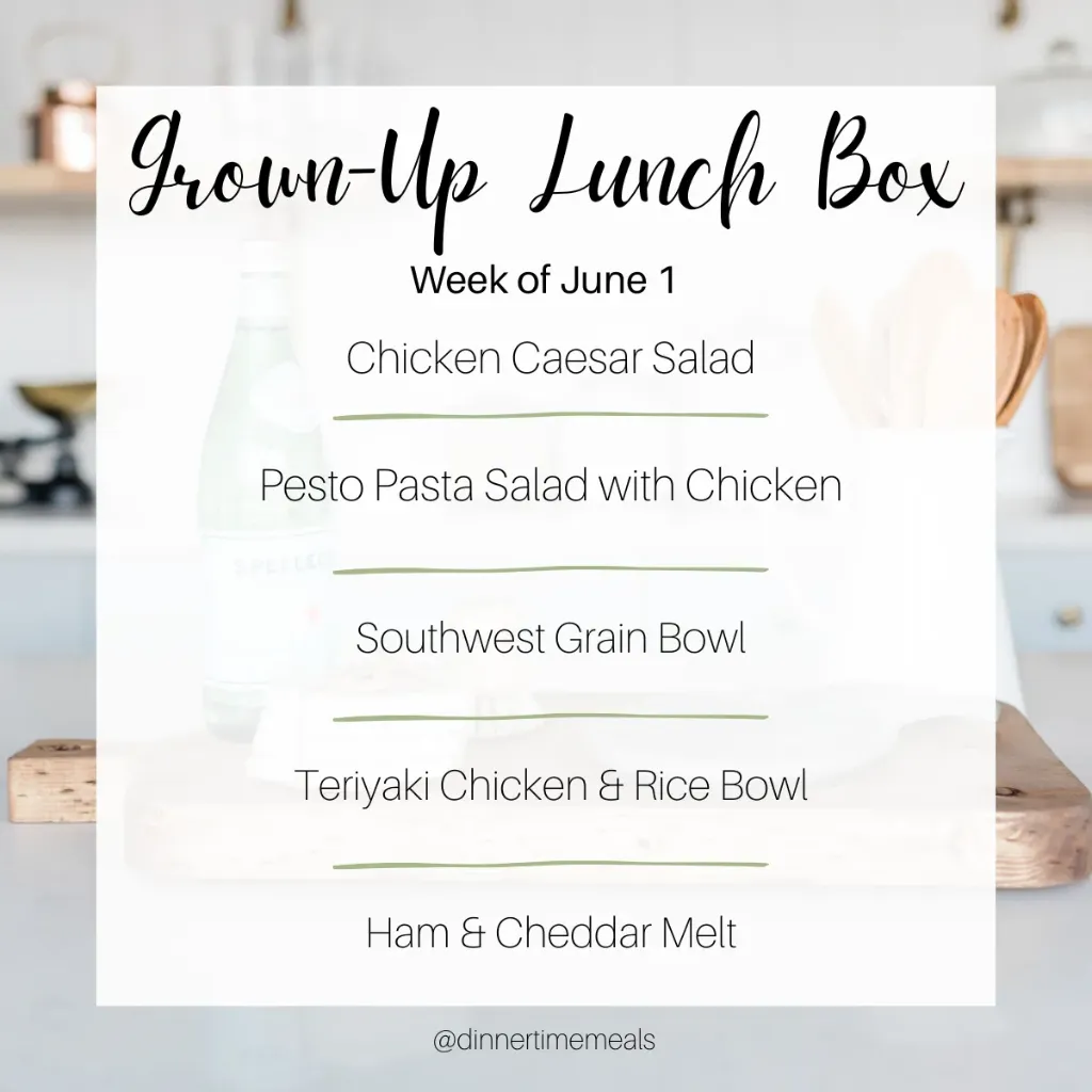 Grown-Up Lunch Box